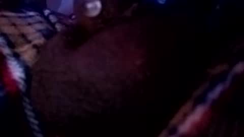bcfalcon69 online show from May 16, 2:41 am