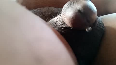 bcfalcon69 online show from June 7, 12:42 pm