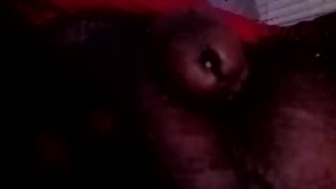 bcfalcon69 online show from June 25, 3:28 am