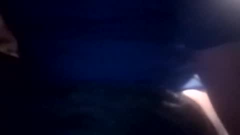 bcmow123 online show from February 22, 6:24 am