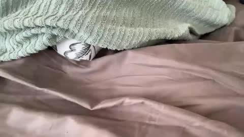 beaumec111 online show from March 17, 3:48 pm