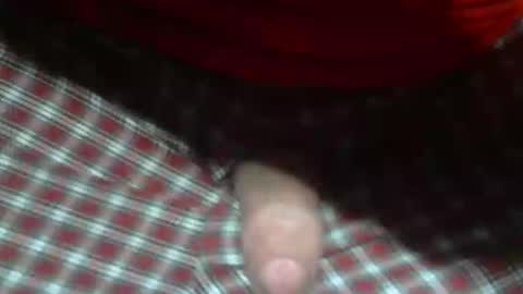  Reservoir Dogs online show from February 5, 12:48 am