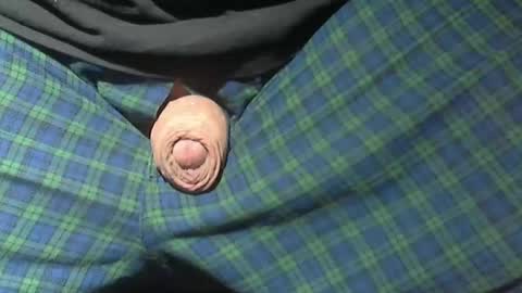  Reservoir Dogs online show from February 15, 2:52 am