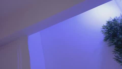 Snapshot of bella_vixen_ chatting on February 19, 8:49 pm Bella online show from February 19, 8:49 pm