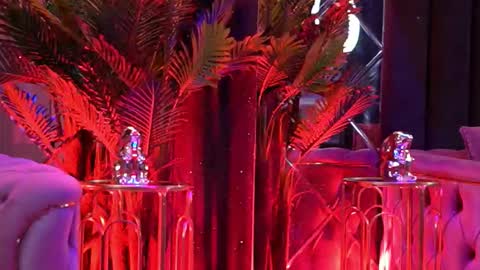 Snapshot of bellanoirre chatting on February 9, 6:23 pm Bella online show from February 9, 6:23 pm