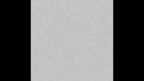 Bella online show from February 25, 11:20 am