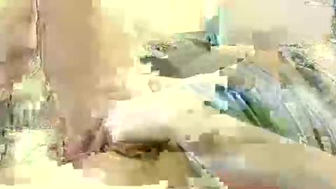 Snapshot of benutzmich0800 chatting on December 8, 11:19 pm Benutzmich0800 online show from December 8, 11:19 pm