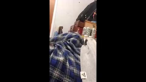 Snapshot of bertpace9296 chatting on May 23, 3:34 am bertpace9296 online show from May 23, 3:34 am