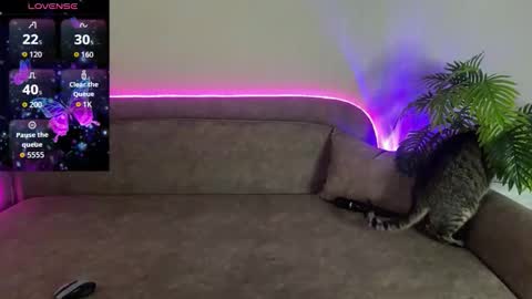 Teya online show from April 12, 3:06 pm