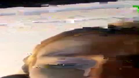 Snapshot of beverlyfoxx chatting on July 17, 10:58 pm beverlyfoxx online show from July 17, 10:58 pm