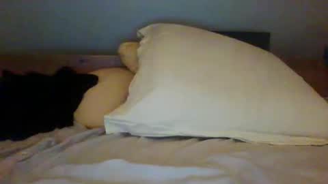 bibipheuck online show from November 13, 12:04 pm