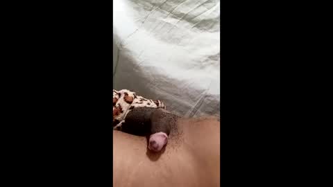 Snapshot of biel369737 chatting on March 2, 4:36 am biel369737 online show from March 2, 4:36 am