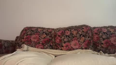 Cum247365 online show from February 14, 3:31 pm