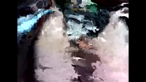 Snapshot of bigbird0100101 chatting on February 7, 6:55 pm bigbird0100101 online show from February 7, 6:55 pm