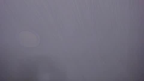   online show from April 7, 10:05 am