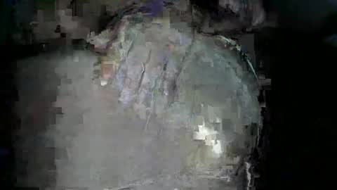 bigboybigbutt69 online show from November 15, 12:02 pm