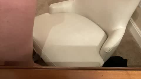 Snapshot of bigcock4u32 chatting on March 22, 4:16 am bigcock4u32 online show from March 22, 4:16 am