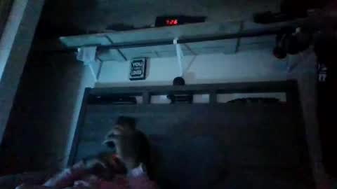 Snapshot of bigdickdaddy3200798456 chatting on December 28, 1:08 am bigdickdaddy3200798456 online show from December 28, 1:08 am