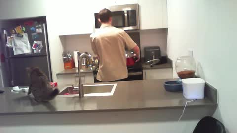 Snapshot of bigdog_112 chatting on October 1, 9:54 pm BigWilly online show from October 1, 9:54 pm