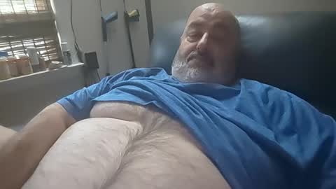 bigfuzzyteddybear online show from July 27, 2:35 pm