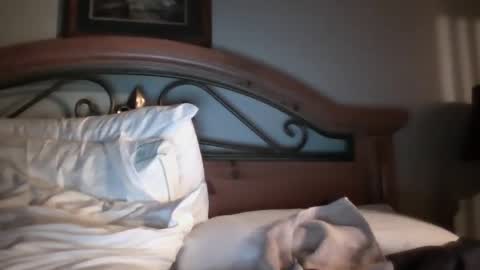 Snapshot of bigload1972 chatting on January 22, 3:09 am bigload1972 online show from January 22, 3:09 am