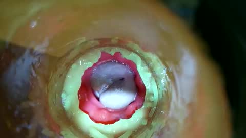 Snapshot of bigmoneycorey chatting on March 14, 7:30 pm bigmoneycorey online show from March 14, 7:30 pm