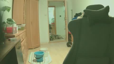 Snapshot of bigredkong7777 chatting on September 9, 6:51 pm bigredkong7777 online show from September 9, 6:51 pm