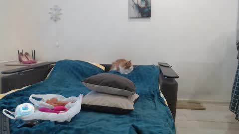 BigTwinsOmg online show from February 27, 5:51 am