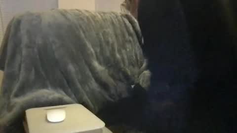 Bigwhitedickdaddy and BabyCakes online show from February 16, 11:50 am