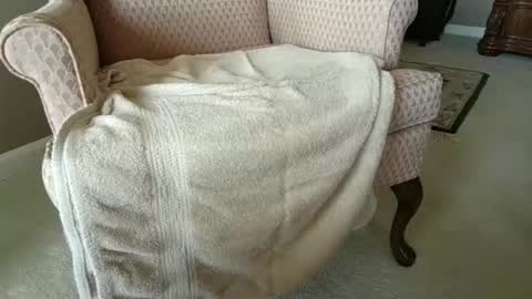 billernest99 online show from October 1, 5:52 pm