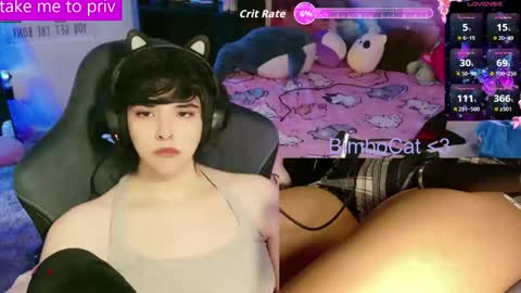 BimboCat online show from February 3, 1:26 am