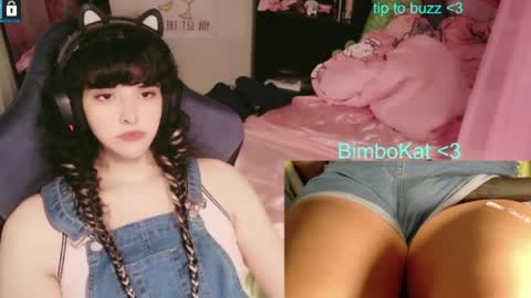BimboCat online show from July 31, 9:58 pm