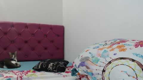 Snapshot of bitch_mommy_x chatting on January 26, 12:22 pm I am everything. Your highness queen goddess mistress god daddy mommy boss master. you will address me as such online show from January 26, 12:22 pm