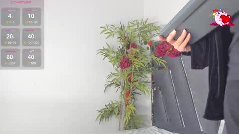 B L A C K  R O S E  online show from March 10, 11:42 am