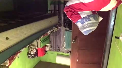 Snapshot of blackasiancockts chatting on February 20, 2:30 am Crystal online show from February 20, 2:30 am