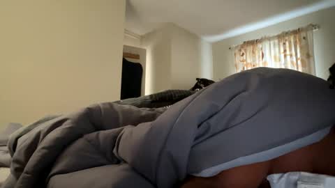 Snapshot of blackbig91 chatting on December 3, 9:33 am Blackybiggg online show from December 3, 9:33 am