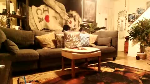 Snapshot of blackriches96 chatting on February 14, 8:33 am blackriches96 online show from February 14, 8:33 am