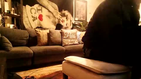 Snapshot of blackriches96 chatting on February 17, 3:58 am blackriches96 online show from February 17, 3:58 am