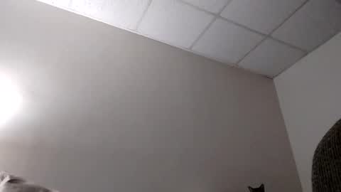 blahblam420 online show from February 5, 7:50 am