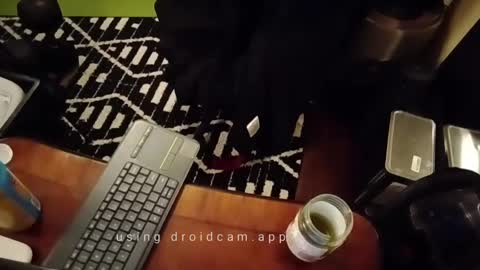 Blackjag00 online show from February 13, 10:12 am