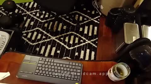 Blackjag00 online show from February 15, 7:06 am