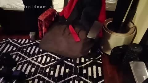 Blackjag00 online show from February 23, 10:06 am