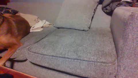 blaw_1321 online show from April 14, 7:25 am