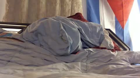 FreshCut online show from February 11, 4:01 am