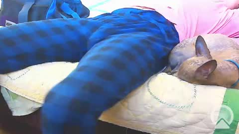 Snapshot of blondieblu89 chatting on February 13, 10:00 pm First Time College Boy online show from February 13, 10:00 pm