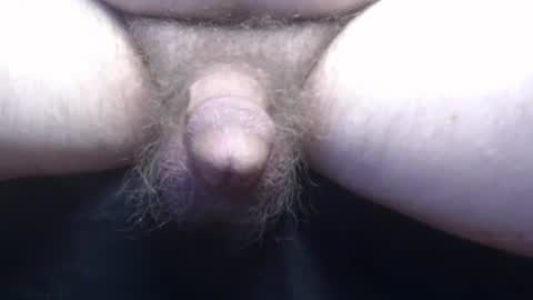 bluebee420 online show from November 13, 10:36 am