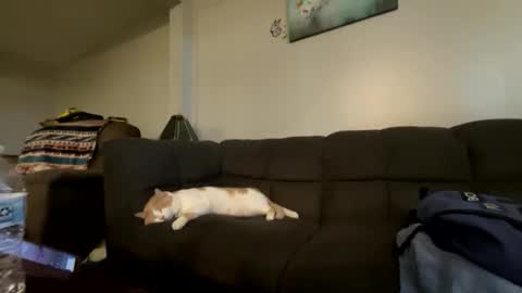 bluebloodednorsewitch online show from October 16, 2:29 pm