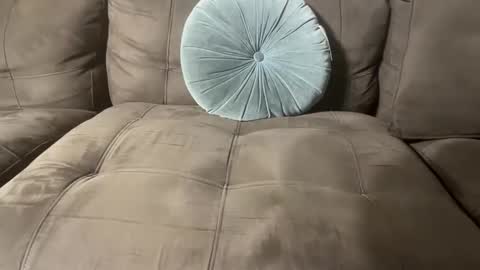 bluegreenish online show from October 27, 11:41 pm