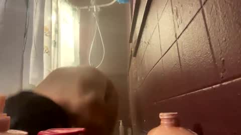 Snapshot of bmfkarijo chatting on November 1, 9:44 am LovelyJolene online show from November 1, 9:44 am