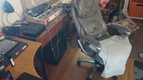 Snapshot of bnitehawk1234 chatting on September 20, 7:31 am harry cockins online show from September 20, 7:31 am